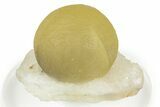 Botryoidal Yellow Fluorite on Quartz - India #342398-1